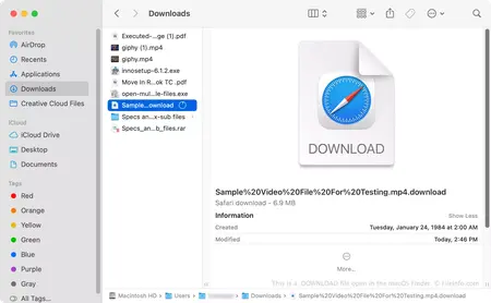 How to Download a File