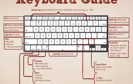 How to Use a Keyboard