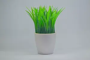 Tanaman Hias Sintetis vs Asli: Mana yang Terbaik?