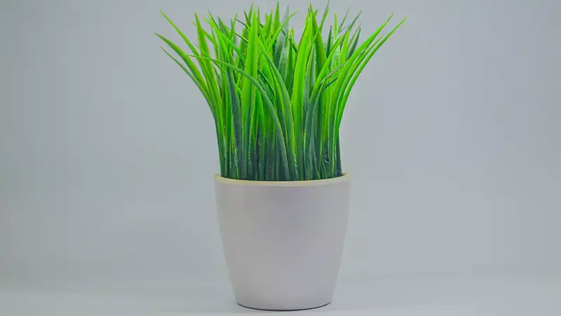 Tanaman Hias Sintetis vs Asli: Mana yang Terbaik?