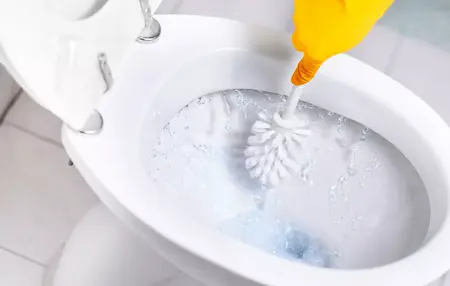 How to Clean a Toilet Bowl
