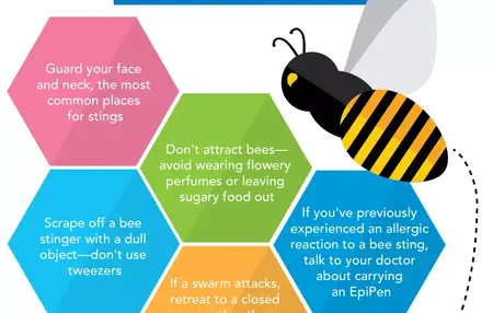 How to Avoid Bites and Stings